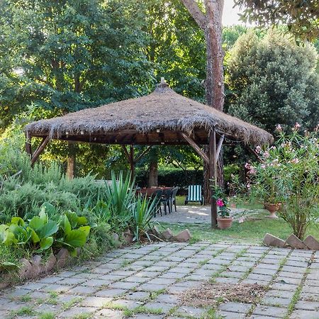 Agriturismo Artisti Del Cavallo アレッツォ エクステリア 写真
