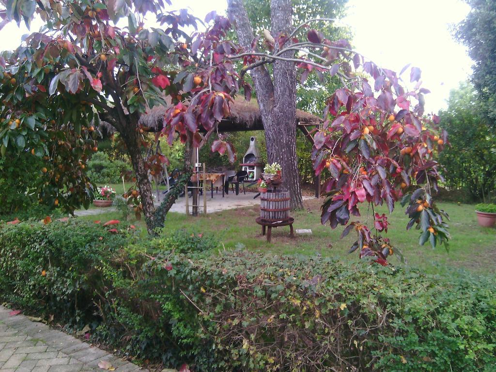 Agriturismo Artisti Del Cavallo アレッツォ エクステリア 写真